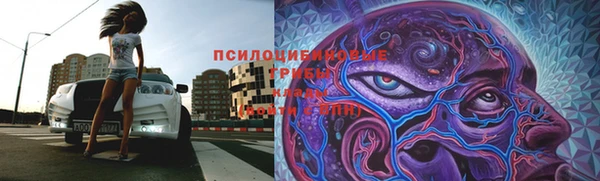 соль ск Алексеевка