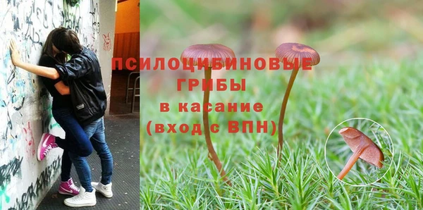 дживик Алексин