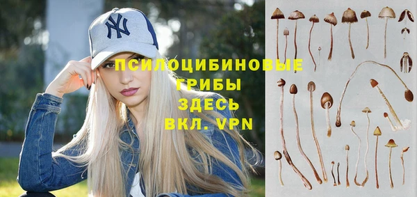 соль ск Алексеевка